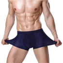 Cueca Ultra Respirável em Seda Gelo - Pague 2 leve 4