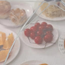 Tela Protetora de Alimentos Dobrável Antimoscas